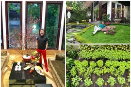 Tò mò biệt thự 125 tỷ của Đàm Vĩnh Hưng vừa bị rao bán 