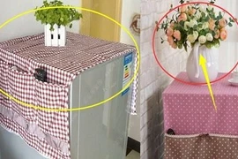 Tiện tay đặt thứ này lên tủ lạnh khiến của nả trong nhà nội đón ra đi