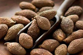 Đặc sản 4 năm mới có, dân Hà thành lùng mua bất chấp giá cao 