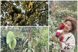 Mê mẩn vườn cây trĩu quả trong nhà NSND Thanh Hoa