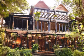 Cận cảnh biệt thự gỗ giữa rừng thông của Phan Như Thảo 