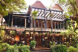 Cận cảnh biệt thự gỗ giữa rừng thông của Phan Như Thảo 