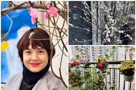 Không gian sống ngập sắc xuân của MC Diễm Quỳnh
