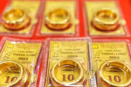 8 chỉ vàng năm 2004 hiện trị giá bao nhiêu?