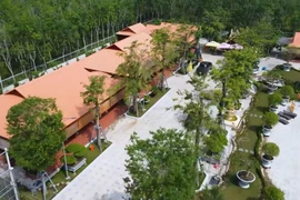 Biệt phủ trăm tỷ toàn gỗ quý gây sốt của đại gia Bình Dương