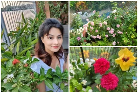 Mê mẩn khu vườn ngập tràn hoa hồng trong nhà Vũ Thu Phương