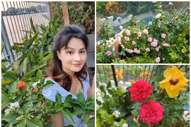 Mê mẩn khu vườn ngập tràn hoa hồng trong nhà Vũ Thu Phương