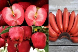 3 loại quả màu đỏ này làm quà biếu Tết thì cả năm gia chủ may mắn 