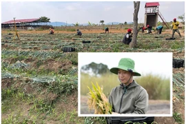 Bên trong trang trại 14ha của Quang Linh Vlogs ở Châu Phi