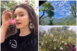 Nhà vườn 8.000m2 của nữ ca sĩ trẻ nhất được phong NSND