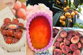 5 loại quả đắt đỏ vẫn “cháy hàng” tại Việt Nam