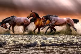 Mơ thấy 4 con giáp này, chủ nhân có thể gặp điềm lành, đón nhiều vận may