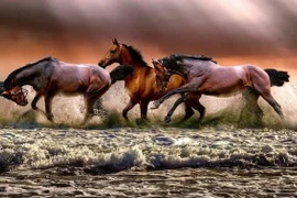 Mơ thấy 4 con giáp này, chủ nhân có thể gặp điềm lành, đón nhiều vận may