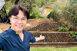 Vườn rau xanh mướt tại Đà Lạt của “MC giàu nhất Việt Nam” 