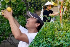Mãn nhãn khu vườn hoa trái xum xuê của sao Việt ở Mỹ
