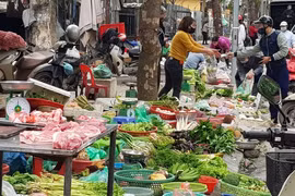 Giá xăng tăng kỷ lục, người tiêu dùng loay hoay tìm cách ứng phó