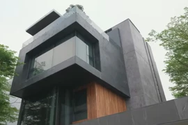 Toàn cảnh biệt thự đen view cánh đồng hiếm có giữa Hà Nội