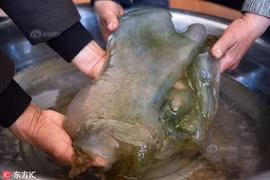 Đổi đời sau một đêm: Kho báu hàng chục tỷ ẩn mình ở nơi chẳng ngờ