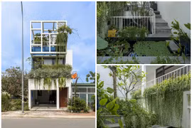 Giành giải kiến trúc quốc tế, nhà phố tại Bình Dương có gì độc?