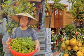 Thích mắt cây trái trĩu quả trong biệt phủ dát vàng của Vượng Râu