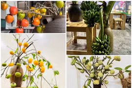 5 cành quả cắm bình đang “làm mưa làm gió” trên thị trường