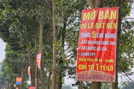 Giá đất nền tăng nhưng vẫn rẻ hơn 30% so với đỉnh sốt 