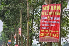 Giá đất nền tăng nhưng vẫn rẻ hơn 30% so với đỉnh sốt 