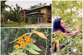 Vào thăm nhà vườn nghìn m2 của của nghệ sĩ Thanh Thanh Hiền ở Hà Nội 