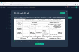 Người trúng đấu giá biển số đẹp có quyền và nghĩa vụ gì?