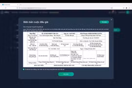 Người trúng đấu giá biển số đẹp có quyền và nghĩa vụ gì?