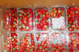 Dâu tây Sơn La đổ bộ khắp chợ, giảm giá “sập sàn” 