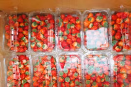 Dâu tây Sơn La đổ bộ khắp chợ, giảm giá “sập sàn” 