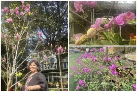 Khu vườn rực sắc hoa trong biệt thự 1.000m2 của NSND Thanh Hoa