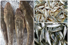 3 loại cá trước “rẻ như cho” nay dân phố tranh nhau mua