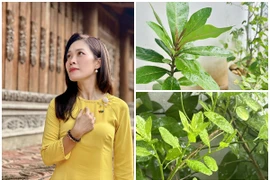 Ngắm khu vườn lộc non xanh mơn mởn của MC VTV Hoàng Trang