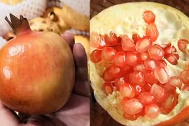 4 kinh nghiệm chọn lựu ta ngon ngọt, bà bán hàng không bao giờ tiết lộ