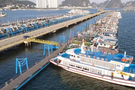 Đội tàu du lịch nghìn tỷ ở Hạ Long “đắp chiếu” thuộc các “ông lớn” nào?