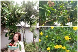 Choáng ngợp cơ ngơi ngập hoa trái của Vy Oanh tại Đà Lạt 