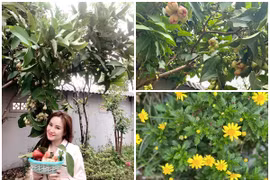 Choáng ngợp cơ ngơi ngập hoa trái của Vy Oanh tại Đà Lạt 