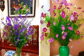 Chọn hoa đẹp nào trang trí phòng khách ngày Tết? 