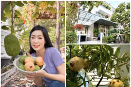 Toàn cảnh biệt thự ngập tràn cây trái của NSND Trịnh Kim Chi