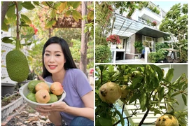 Toàn cảnh biệt thự ngập tràn cây trái của NSND Trịnh Kim Chi