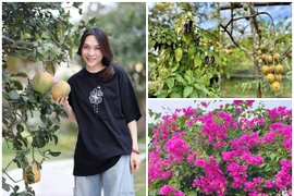 “Biệt phủ” nghìn mét vuông của ca sĩ Mỹ Tâm 