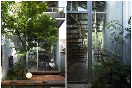 Quán cà phê ngập tràn cây xanh giữa xứ Huế mộng mơ