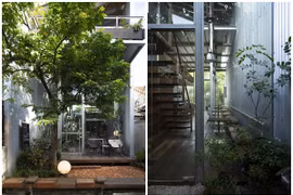 Quán cà phê ngập tràn cây xanh giữa xứ Huế mộng mơ