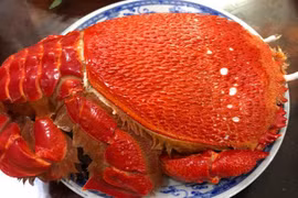 Cua Việt giá chục triệu 1 con, dân thi nhau mua có gì độc?