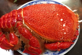 Cua Việt giá chục triệu 1 con, dân thi nhau mua có gì độc?