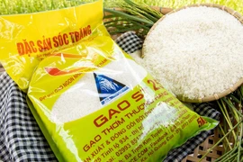 Lần thứ 2 đoạt giải ngon nhất thế giới, gạo ST25 giá bán thế nào?