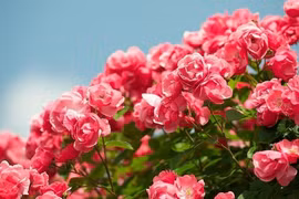 Tháng 4 đến mang niềm vui, 3 con giáp được quý nhân giúp đỡ 