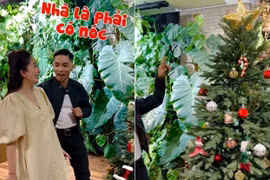 Sân vườn xanh mướt đẹp mê mẩn trong nhà Khánh Thi - Phan Hiển